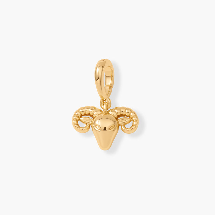 Effie Zodiac Charm