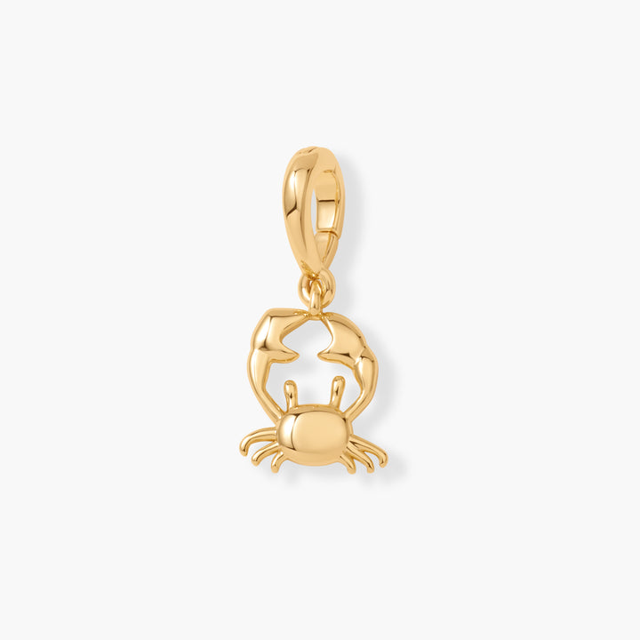 Effie Zodiac Charm