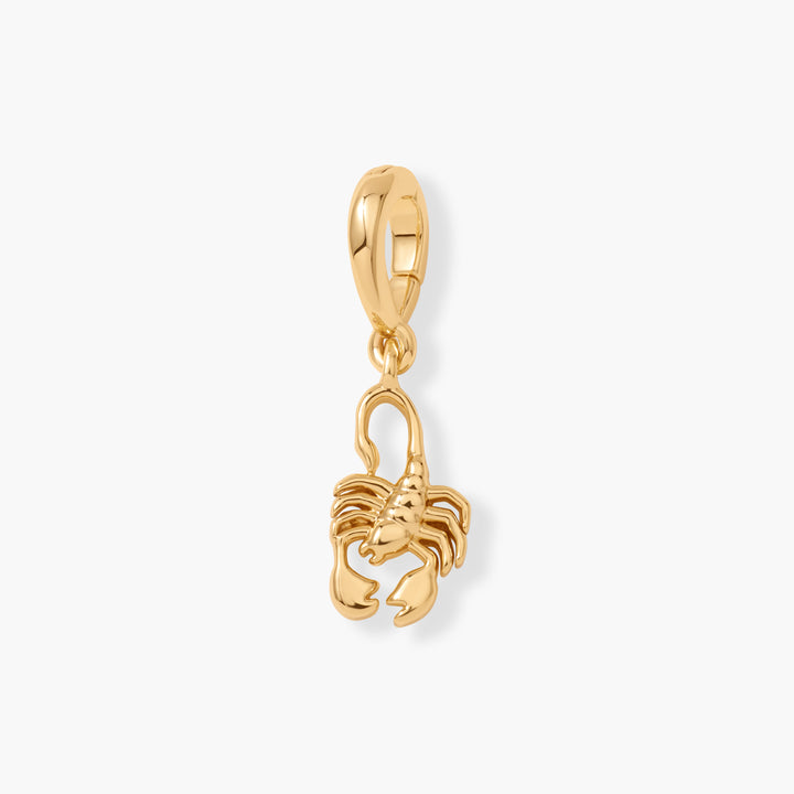 Effie Zodiac Charm