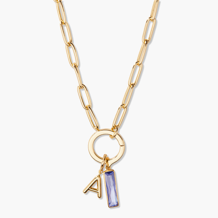 Colette Birthstone Elongated Initial Necklace