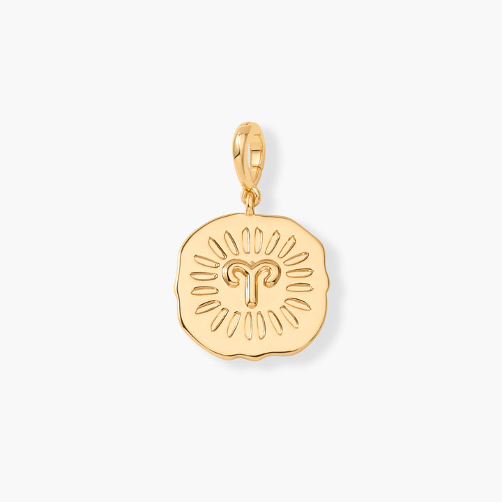 Dakota Zodiac Wanderlust Charm
