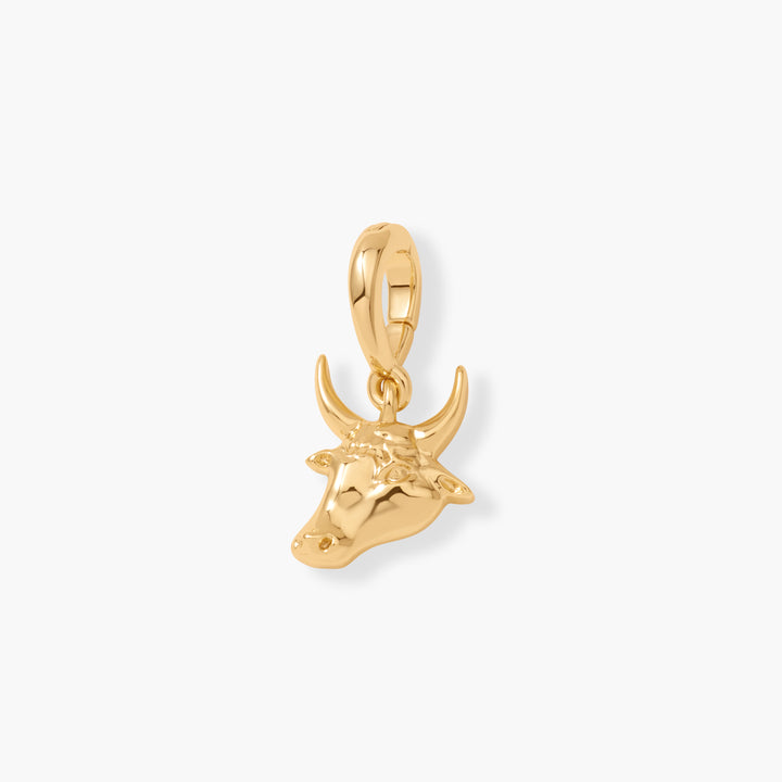 Effie Zodiac Charm