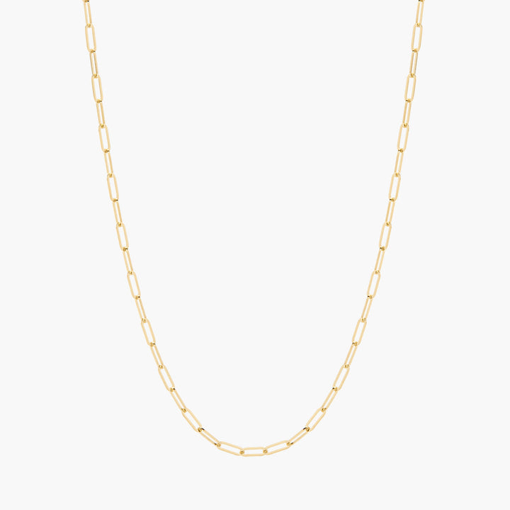 Colette Mini 14K Gold Chain Necklace
